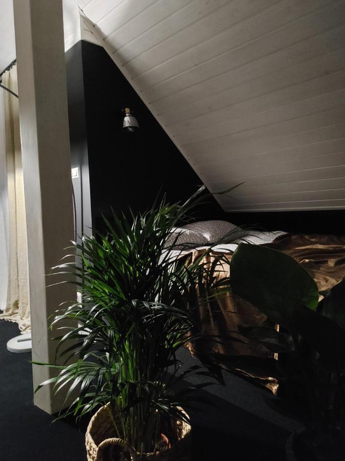Apartament Lipowa 3 ムロンゴヴォ エクステリア 写真